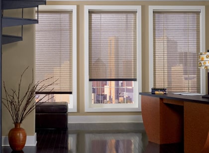 Custom Window Shades
